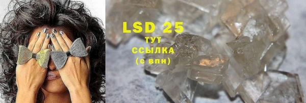 PSILOCYBIN Краснотурьинск