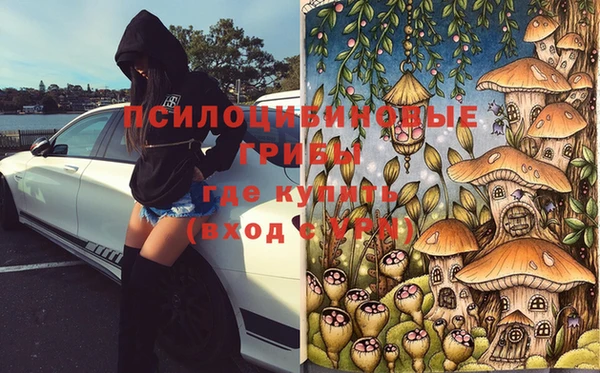 СК Абаза
