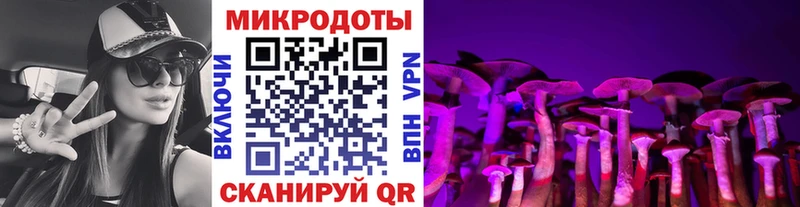 Галлюциногенные грибы мицелий купить наркоту Слюдянка